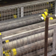 Stored core samples from an expedition that drilled into the Chicxulub crater.